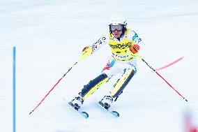 SPORT INVERNALI - Sci Alpino - AUDI FIS Ski World Cup - Slalom - Men