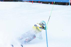 SPORT INVERNALI - Sci Alpino - AUDI FIS Ski World Cup - Slalom - Men