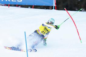 SPORT INVERNALI - Sci Alpino - AUDI FIS Ski World Cup - Slalom - Men