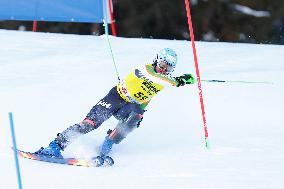 SPORT INVERNALI - Sci Alpino - AUDI FIS Ski World Cup - Slalom - Men