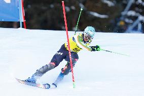 SPORT INVERNALI - Sci Alpino - AUDI FIS Ski World Cup - Slalom - Men