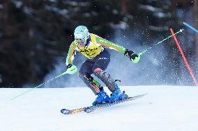 SPORT INVERNALI - Sci Alpino - AUDI FIS Ski World Cup - Slalom - Men