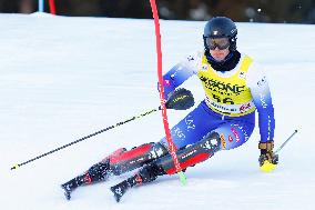 SPORT INVERNALI - Sci Alpino - AUDI FIS Ski World Cup - Slalom - Men