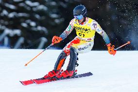 SPORT INVERNALI - Sci Alpino - AUDI FIS Ski World Cup - Slalom - Men