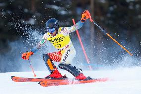 SPORT INVERNALI - Sci Alpino - AUDI FIS Ski World Cup - Slalom - Men