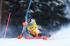 SPORT INVERNALI - Sci Alpino - AUDI FIS Ski World Cup - Slalom - Men