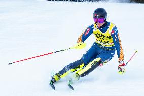 SPORT INVERNALI - Sci Alpino - AUDI FIS Ski World Cup - Slalom - Men