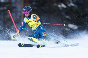 SPORT INVERNALI - Sci Alpino - AUDI FIS Ski World Cup - Slalom - Men