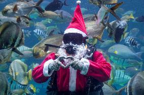 Diving Santa Claus  - Bali