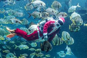 Diving Santa Claus  - Bali