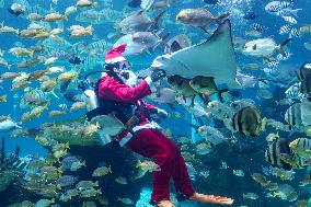 Diving Santa Claus  - Bali