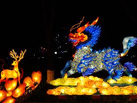 2025 Lantern Fair in Yichang