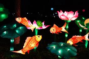 2025 Lantern Fair in Yichang