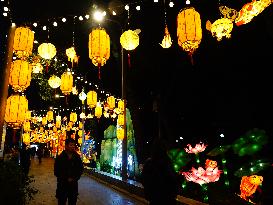 2025 Lantern Fair in Yichang