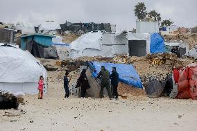 Displaced Families Face Harsh Winter - Gaza