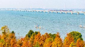 Shanghai-Suzhou-Huzhou High-speed Railway Put into operation