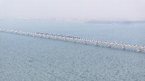 Shanghai-Suzhou-Huzhou High-speed Railway Put into operation