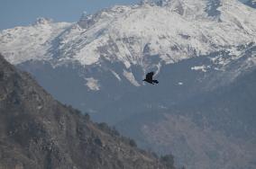 Mountain Peaks Of Himachal Pradesh