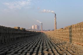 Brickfield Workers In Bangladesh.