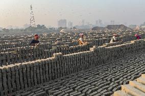 Brickfield Workers In Bangladesh.