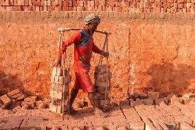 Brickfield Workers In Bangladesh.