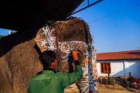 An Elephant Decorating For The Elephant Festival In Sauraha, Chitwan, Nepal