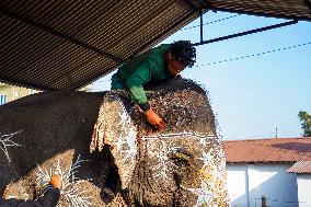 An Elephant Decorating For The Elephant Festival In Sauraha, Chitwan, Nepal