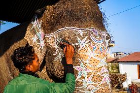 An Elephant Decorating For The Elephant Festival In Sauraha, Chitwan, Nepal