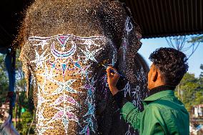 An Elephant Decorating For The Elephant Festival In Sauraha, Chitwan, Nepal