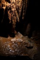 Luray Caverns In Virginia, United States