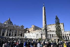 Pope Francis Delivers Angelus Prayer - Vatican