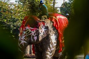 The Elephant Festival At Sauraha, Chitwan, Nepal.