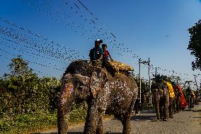 The Elephant Festival At Sauraha, Chitwan, Nepal.