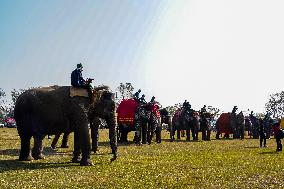 The Elephant Festival At Sauraha, Chitwan, Nepal.