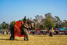 The Elephant Festival At Sauraha, Chitwan, Nepal.