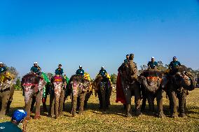 The Elephant Festival At Sauraha, Chitwan, Nepal.