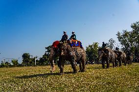 The Elephant Festival At Sauraha, Chitwan, Nepal.