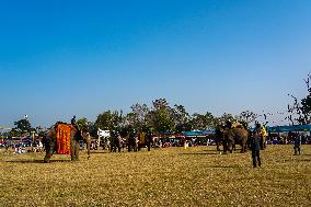 The Elephant Festival At Sauraha, Chitwan, Nepal.