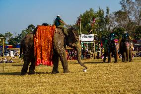 The Elephant Festival At Sauraha, Chitwan, Nepal.