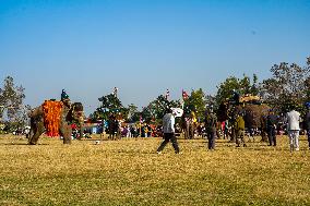 The Elephant Festival At Sauraha, Chitwan, Nepal.