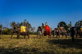 The Elephant Festival At Sauraha, Chitwan, Nepal.