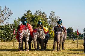 The Elephant Festival At Sauraha, Chitwan, Nepal.