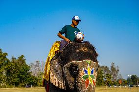 The Elephant Festival At Sauraha, Chitwan, Nepal.