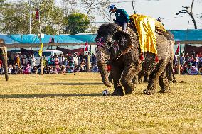 The Elephant Festival At Sauraha, Chitwan, Nepal.