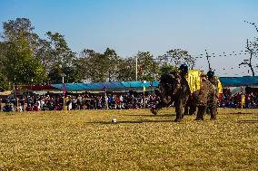 The Elephant Festival At Sauraha, Chitwan, Nepal.