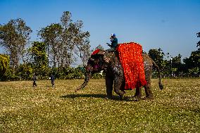 The Elephant Festival At Sauraha, Chitwan, Nepal.