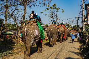 The Elephant Festival At Sauraha, Chitwan, Nepal.