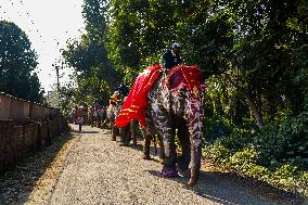 The Elephant Festival At Sauraha, Chitwan, Nepal.