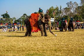 The Elephant Festival At Sauraha, Chitwan, Nepal.