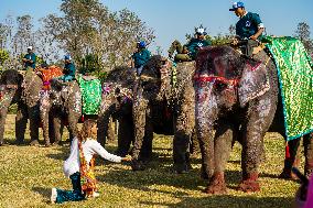 The Elephant Festival At Sauraha, Chitwan, Nepal.